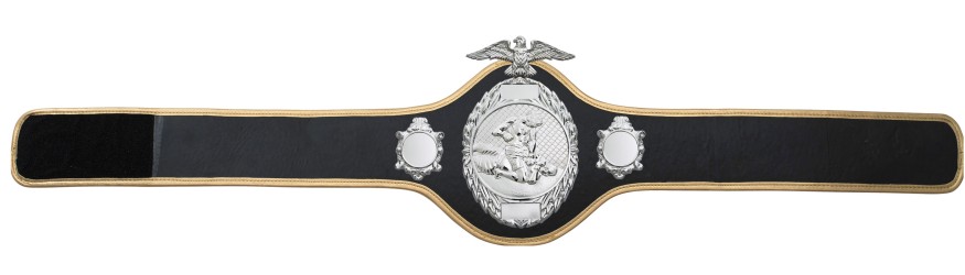 MMA CHAMPIONSHIP BELT- PRO288/S/MMAS - 10 COLOURS MMA CHAMPIONSHIP BELT- PRO288/S/MMAS - 10 COLOURS